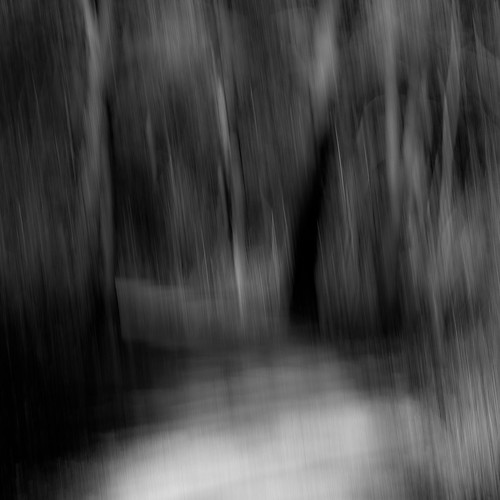 trees winter light shadow blackandwhite bw abstract motion blur monochrome forest square blackwhite movement woods nikon path icm hellernaturecenter d5000 intentionalcameramovement noahbw