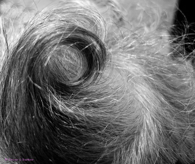 Hurricane Hair | A quick shot of the hair of a lady who woul… | Flickr ...