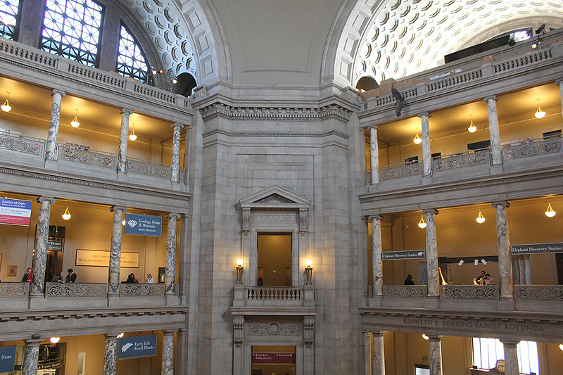 national museum of natural history.