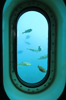 Underwater Observatory