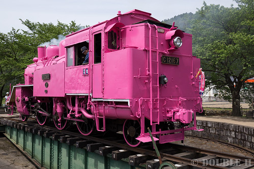 Pink SL at Wakasa Railway (16)