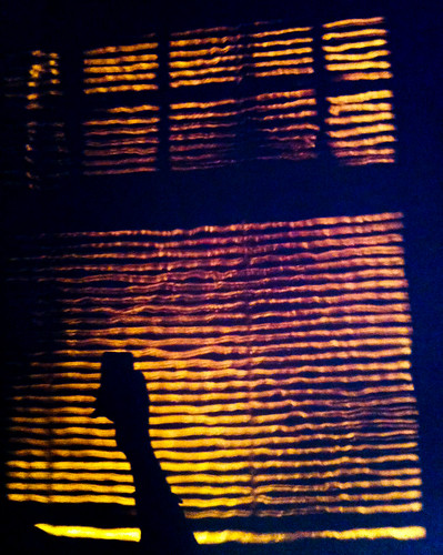 cameraphone sunset orange shadows stripes iphone 366