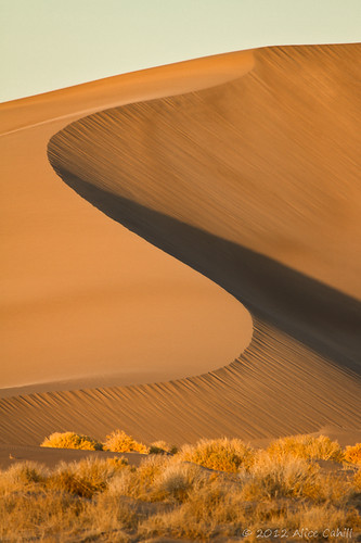 golden sand pattern desert nv ripples curve sanddunes scurve
