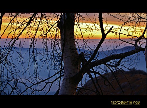 light sunset italy mountain tree italia tramonto colours colori montagna luce mottarone mottaronemontagnamountainitaliaitaly