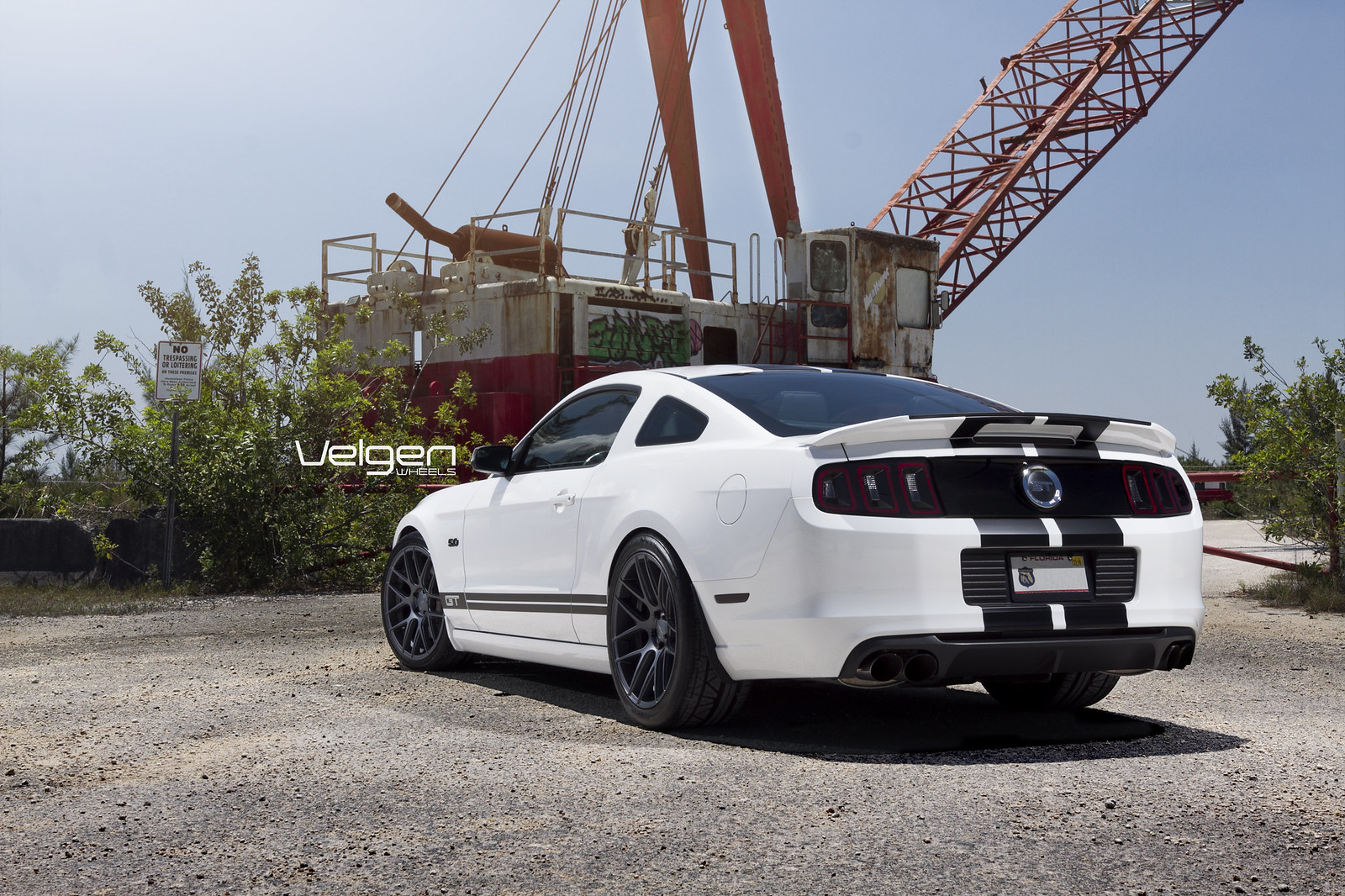 One of the girls streets white mustang. Mustang gt 5.0. Oz Wheels Ford Mustang.