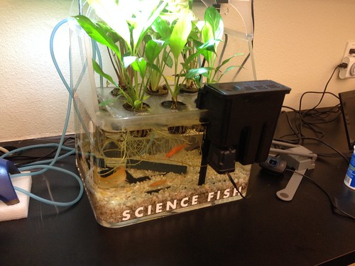 Science Fish!