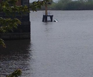 A 19-foot boat is tied off to the Lower Range Light at Mud Island Saturday, May 3, 2014, in the Delaware River after it became disabled and took on water. A crew from Coast Guard Station Philadelphia rescued the four people aboard the boat and transported them to shore. (U.S. Coast Guard photo)