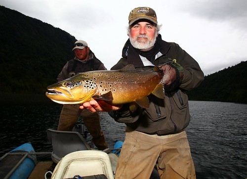 Huge Chile Trout