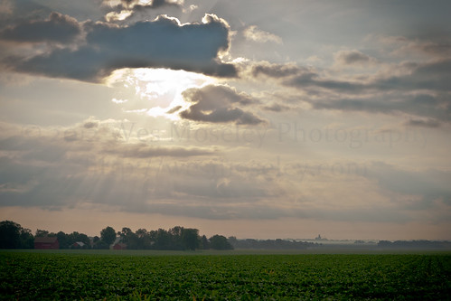 trees summer field clouds barn soybean sunray