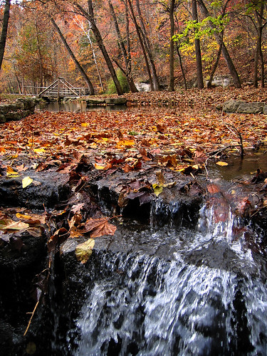 bridge autumn fall colors leaves river landscapes stream mdc