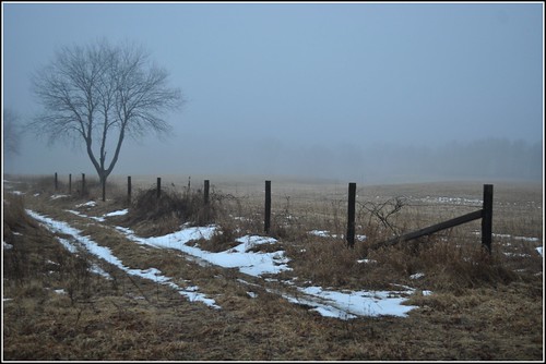 mist fog michigan farm fields danbruell