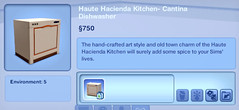 Haute Hacienda Kitchen - Cantina Dishwasher