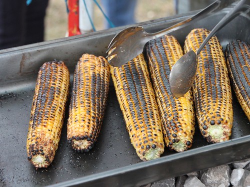 Grilled-Corn-On-The-Cob__56393