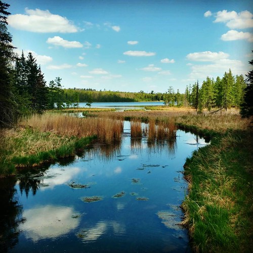 park lake minnesota square state squareformat hefe itasca iphoneography instagramapp uploaded:by=instagram