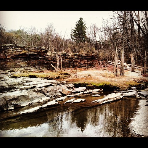 trees reflection tree nature stone river square landscape rocks vermont hole stones salmon squareformat hefe vt winooski iphoneography instagramapp uploaded:by=instagram