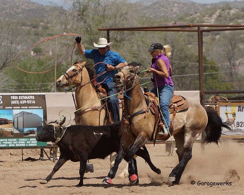 arizona horse sport cowboy all sony country rope arena rodeo cowgirl athlete equine wickenburg roping 50500mm views50 f4563 slta77v