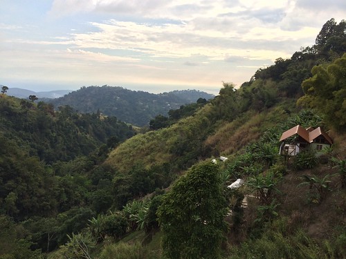 sunset newcastle bluemountains jamaica saintandrew mountedge eitscafe