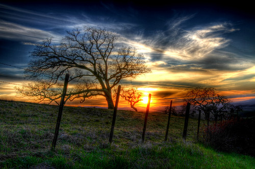 sunset clouds rural fence oaktree hdr sanbenitocounty canon7d