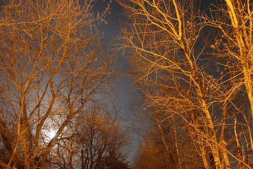 ontario canada night northernlights auroraborealis northwesternontario siouxlookout