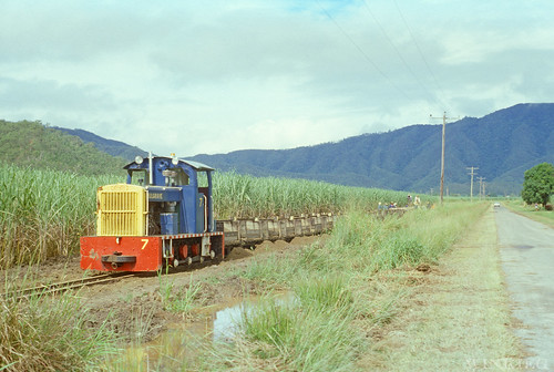 tram australia queensland aus sugarcane gordonvale canetram winkieg