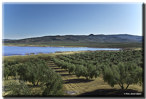 naturaleza francisco pentax jose laguna lopez olivar morante k10d
