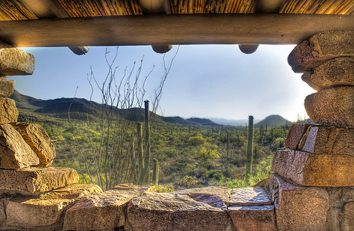 arizona cactus cacti hdr saguaronationalmonument