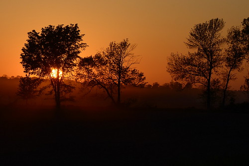 trees sunset sun ontario canada silhouette gold spring farmland elgincounty