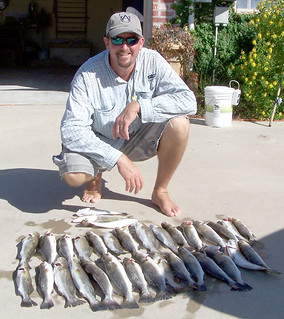 Speckled Trout Catch
