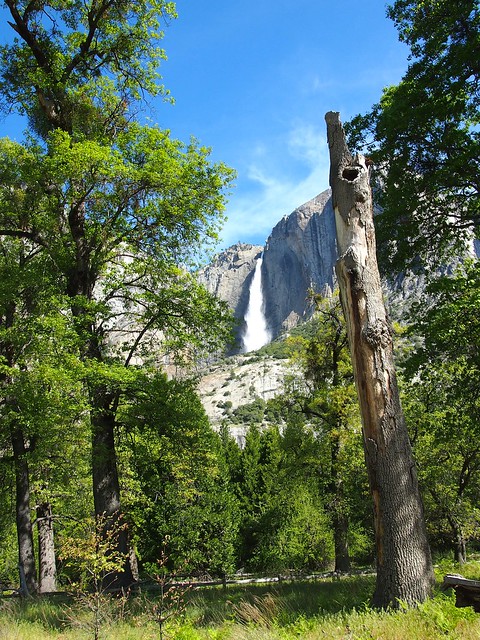 Yosemite Falls, Yosemite National Park