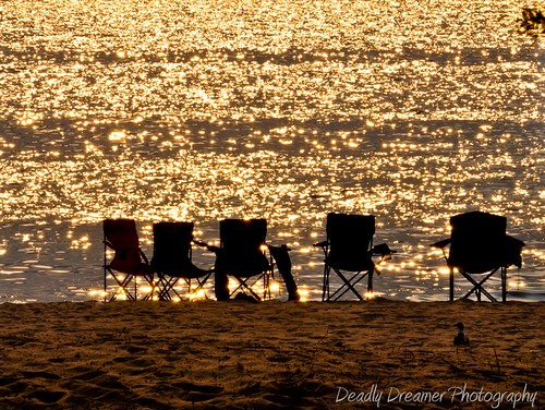 sunset colors chair seagull flash southbeach gulfcoast