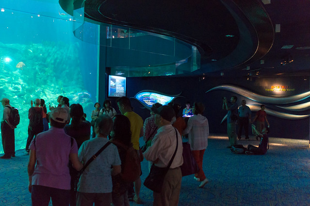 Grand Aquarium - Grand Panel