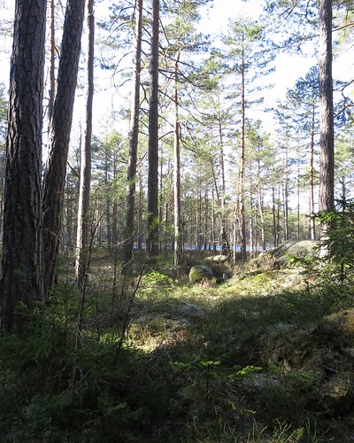 nature walking sweden culture biking sund vimmerby oppad småland lidhem frö̈dingesocken hultserum