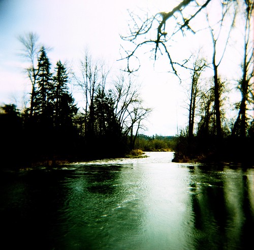 park trees winter reflection film water oregon analog forest mediumformat river holga lomo xpro lomography crossprocessed ditch kodak dreamy salem analogue vignetting ektachrome e100vs 120n wildernesspark willamettevalley santiam stayton