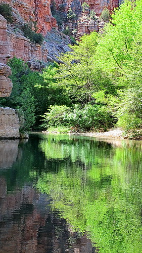 trees red arizona usa reflection verde green water pool rock spring gate rocks stream hiking country sedona az canyon hike explore trail sycamore valley wilderness parsons parson trailhead verdevalley clarkdale redrockcountry azwexplore parsonstrail azhike alhikesaz parsonstrail144 fr131 sycamorecanyonwilderness parsonsspring parsonsspringtrail parsonspring
