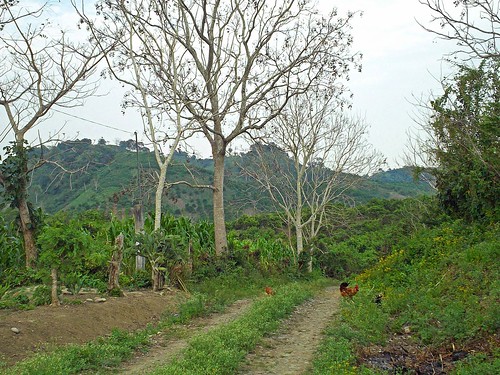 terrain chicken rural mexico hills veracruz rugged tuxpan ilobsterit