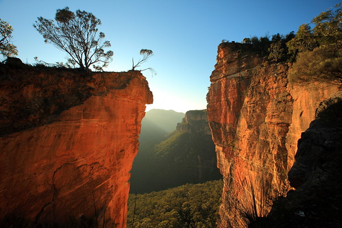 mountains tree nature rock nationalpark bush australia bluemountains cliffs newsouthwales gorge brilliant hangingrock
