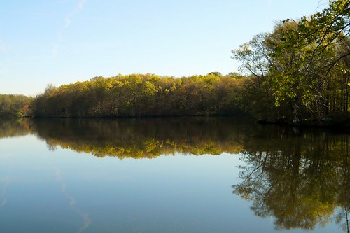 morning trees reflection tree nature water reflections mirror view reservoir waters mirrorimage muscoot myview westchestercounty muscootreservoir somersny morningreflectionsonmuscootreservoir