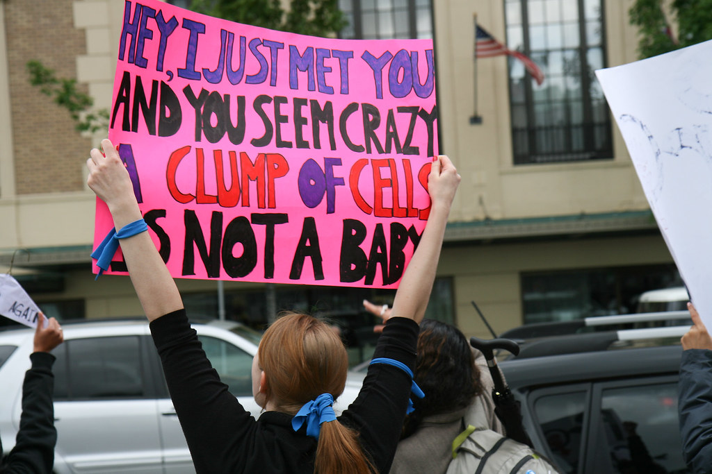 A protester holds a sign saying "a clump of cells is not a baby"