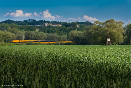 colour train slovensko slovakia sokol zsr zeleznica regiojet trebejov kostolanynadhornadom