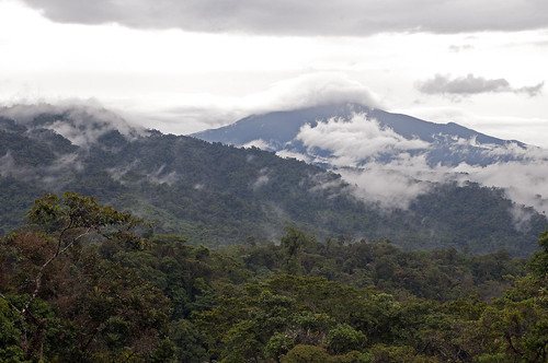 ecuador provincia paesaggi napo vulcano sumaco amazzonia ecuadoriana