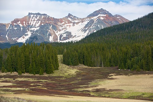 mountain snow forest hills vista