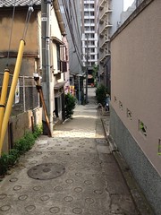 朝散歩(2012/5/28)