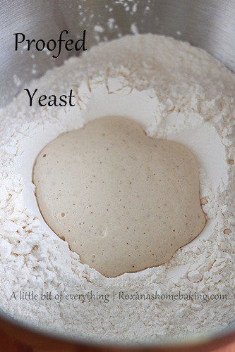 Proofed yeast 
