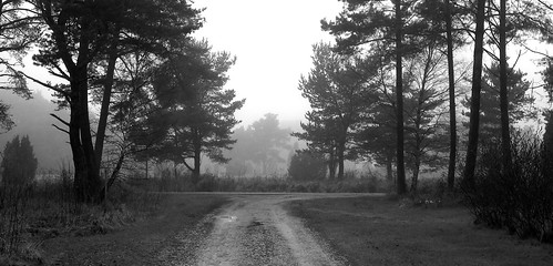 misty nikon sweden 365 gotland 2012 dimma d90 när project365 hamngården närgotland