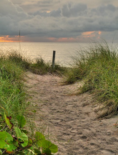 fencepost. miami beach. sunrise. | flickr - photo sharing!