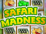 Safari Madness Slots Review