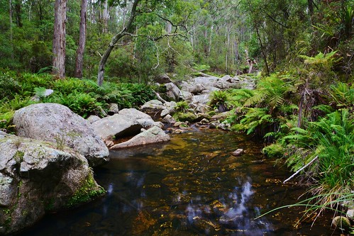 water creek geotagged australia nsw newsouthwales aus southeastforestsnationalpark cattlemanstrack geo:lat=3673924167 geo:lon=14949742667