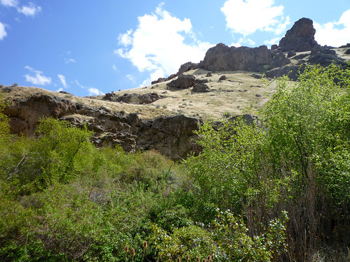 fauna spring rocks canyon idaho rhyolite blm marsing jumpcreekcanyon jumpcreek