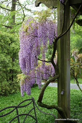 flowers trees gardens landscaping fountains longwoodgardens jewelhouse kennettsquare jewelhouse10 jewelhousephotography