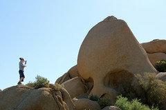 Mar and Skull Rock near Jumbo Rocks